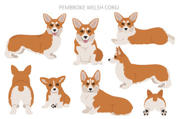 Welsh corgi pembroke clipart. Different poses, coat colors set