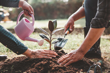 World environment day afforestation nature and ecology concept The male volunteer are planting...