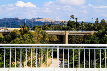 Landscape of palm grove and the hillside of the Vinalopo River in Elche