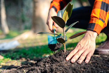 World environment day afforestation nature and ecology concept The hands of a young male volunteer...