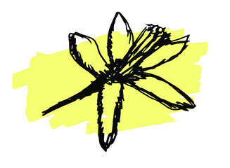 Hand drawn doodle flower of lemon. Vector illustration for backgrounds, textile prints, menu, web and graphic