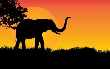 Fototapeta na wymiar elephant standing Against a Sunset illustration, African nature with a wild elephant. Black silhouette of an elephant.