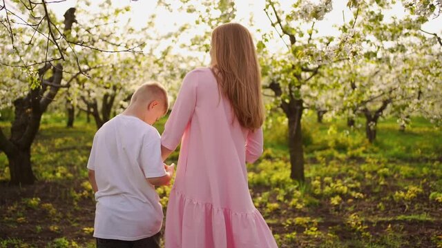 mother and son teenager walk in a flowering spring cherry orchard.