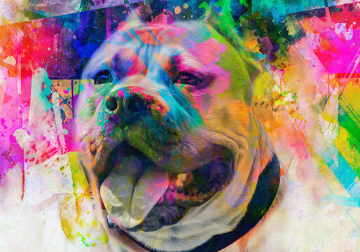 pitbull dog head with creative colorful abstract elements on dark background