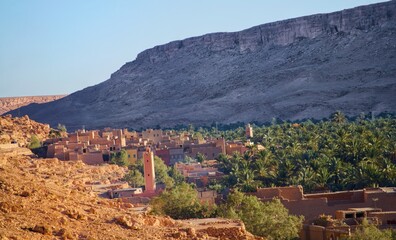 vineyard in the mountains
