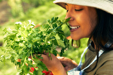 Closeup of a beautiful female gardener tasting freshly picked ecological parsley at the farm. A...