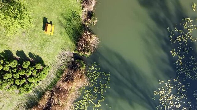 A drone flies over a small lake within a natural Parkland with a bridge, trees, and reeds. Flight over a vibrant color park on a beautiful spring morning in sunlight.