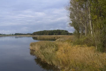 Deurstickers Heiligenhafen, Binnensee, Vogelreservat © m_c_spintop