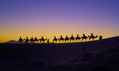 sunrise in the desert with camel parade with silhouette photography.