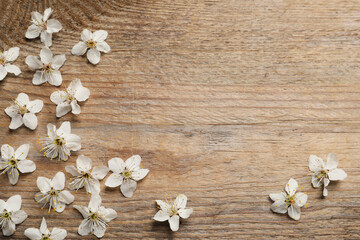 Obraz na płótnie Canvas Beautiful cherry blossoms on wooden table, flat lay. Space for text