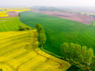 Aerial scenic view of yellow canola and green grain fields