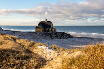 Fototapeta premium Gammel Skagen - Strand, Dänemark - Bild 3