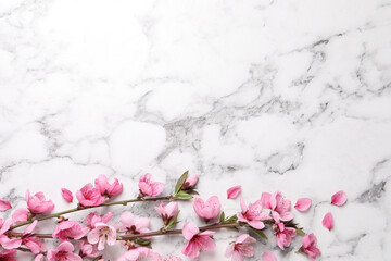 Beautiful sakura tree blossoms on white marble background, flat lay. Space for text