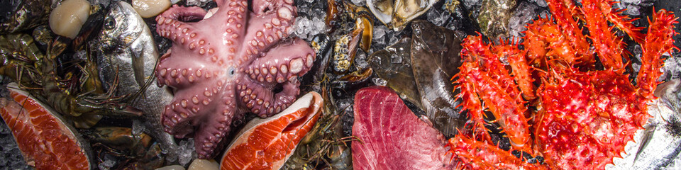Set of various fresh raw seafood