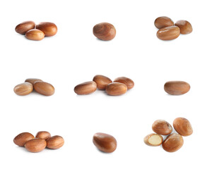 Set with jackfruit seeds on white background