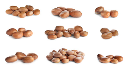 Set with jackfruit seeds on white background. Banner design