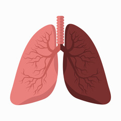 lungs vector with Comparing Lung