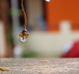 Crystal clear reflection on a rain drop which is about to fall