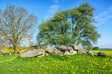 Passage grave on a hill in rural landscape