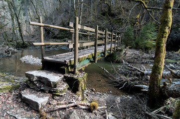 Black Forest, Bridge, Germany, Schwarzwald, Schlucht, Wandern, Gauchach, Wutachschlucht, 