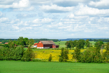 Obraz premium Farm in a rural summer landscape