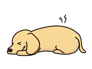 椎間板ヘルニア　痛がる犬　腰痛