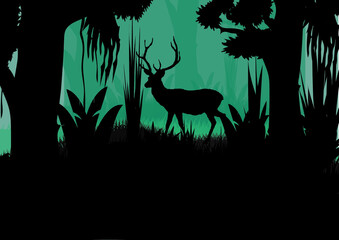 deer in the forest.mid night scene. antler. deer with horns. 