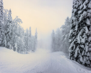 Foggy winter landscape. Ski slope in winter forest in Krasnaya Polyana. Sochi, Russia