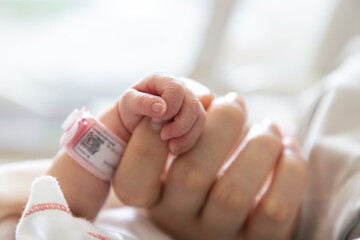 new born baby hand hold mum index finger. concept : Premature or preterm baby in hospital. relationship between mother and baby. - obrazy, fototapety, plakaty