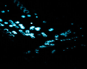 Electronic circuit board