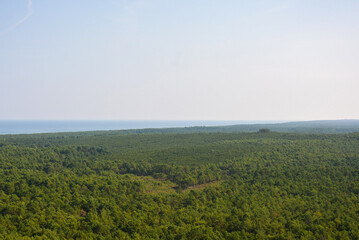Fototapeta na wymiar Top view shot of a forest with a lagoon Baltic coast. View from the lighthouse. Panoramic aerial view of picturesque coastline in Stilo, Poland.
