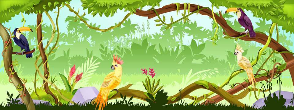 Amazon Jungle Background Images Browse 21 856 Stock Photos Vectors And Video Adobe Stock Amazon Jungle Background Images Browse 21 856 Stock Photos Vectors And Video Adobe Stock