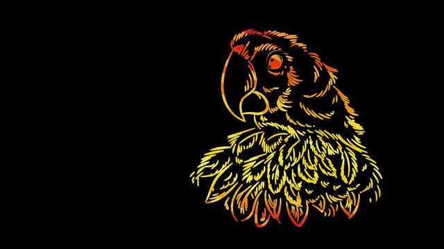 Funny animals, parrot. Neon light. Design of advertising banners and websites. A glowing sign.