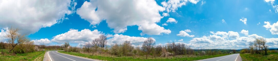 Panorama view of mountain meadow with flowering pear trees against a backdrop of spruce forest and picturesque sky
