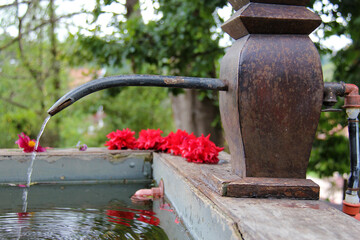 Fuente de agua con flores
