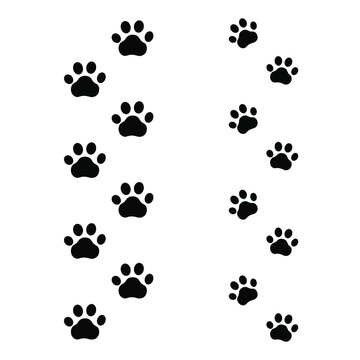 Vector seamless paw trails, black animal footprints isolated on white background, mark lines.
