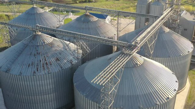 Grain elevator business with large storage bins of corn, grain, soybean. Agriculture, food, harvest, farm, farming, crops, auger, elevator, conveyor, ladder, silos, transport, company, rural, country