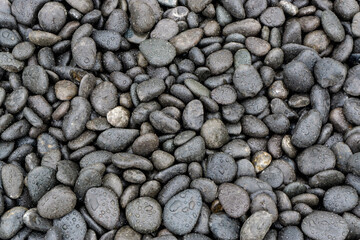 Black pebbles covered with drops 