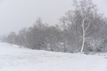 Trees covered in snow on a white winter landscape with snow flakes falling in Mondim de Basto, Portugal