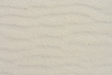Sandy background with waves. Natural backdrop. Wind blown sand structure.