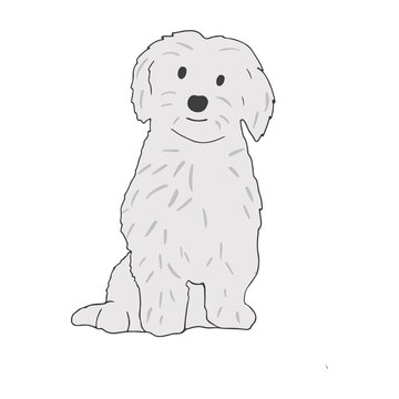 Dog of maltese breed standing on white background. Hairy doggy with shaggy coat. Friendly purebred pet. Isolated colored flat vector illustration