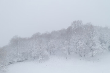 Drone aerial view of Trees covered in snow on a white winter landscape with snow flakes falling in Mondim de Basto, Portugal