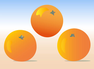 Orange whole. Vector illustration of oranges. Fully editable handmade illusration