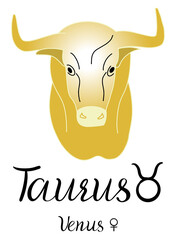 Astrology Taurus zodiac sign. Realistic hand drawing bull head