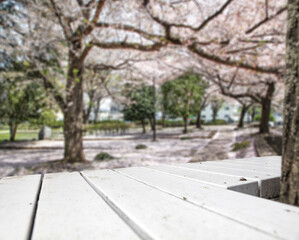 Spring garden and wooden white table of free space for your decoration. 