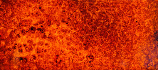 Natural Burma padauk burl wood striped is a wooden beautiful pattern for background