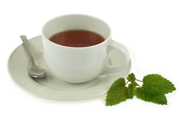 Infusion de mélisse fraîches dans une tasse en gros plan sur fond blanc