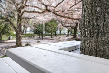 Spring garden and wooden white table of free space for your decoration. 