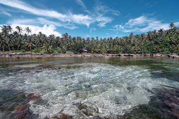 Rock natural pool lagoon. Coconut palm tree beach.