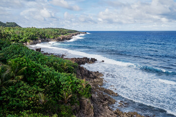 Tropical landscape. Seashore, big waves.